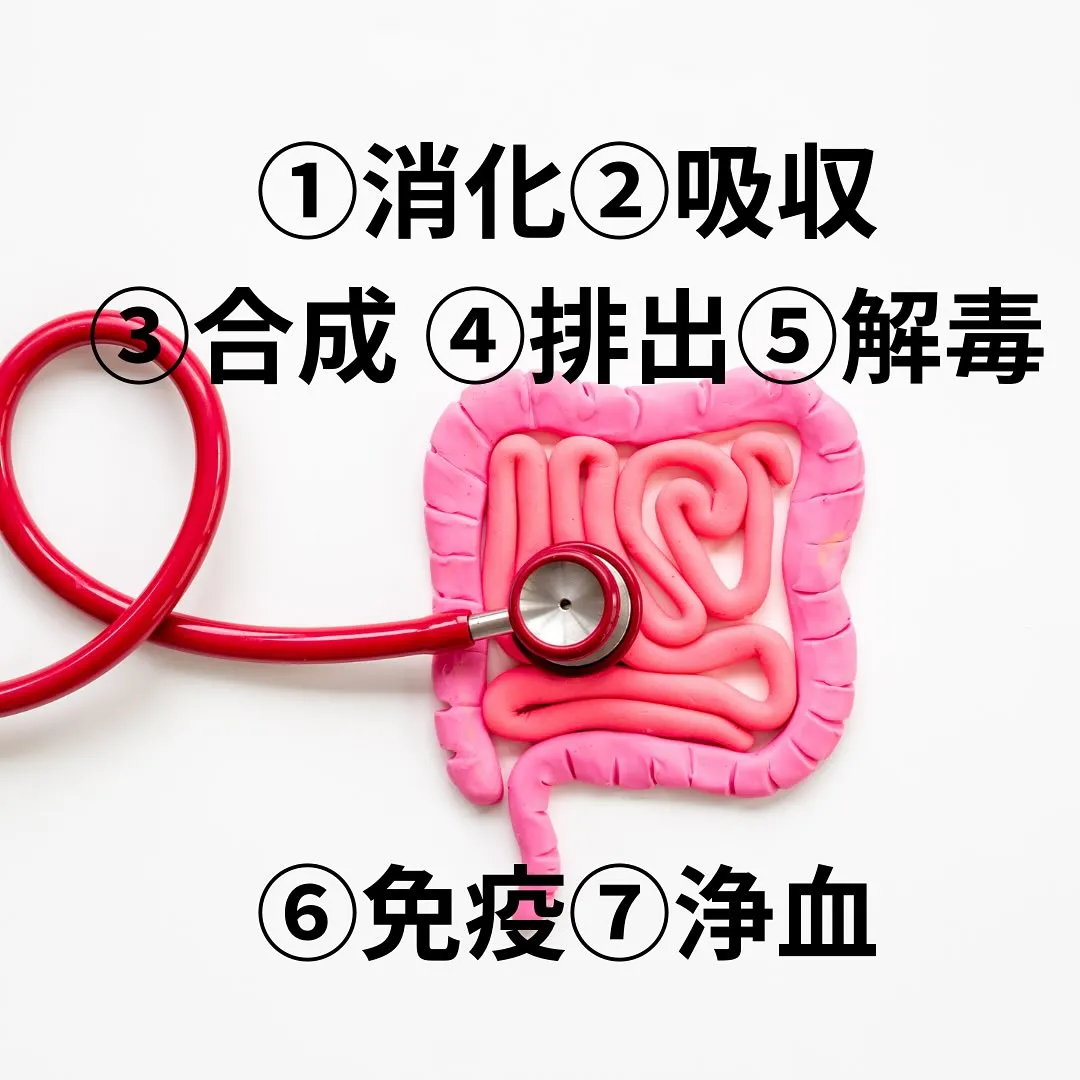 まずは腸もみ体験コース受けてみませんか？