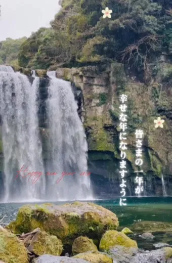 皆さま今年も宜しくお願い致します🤲